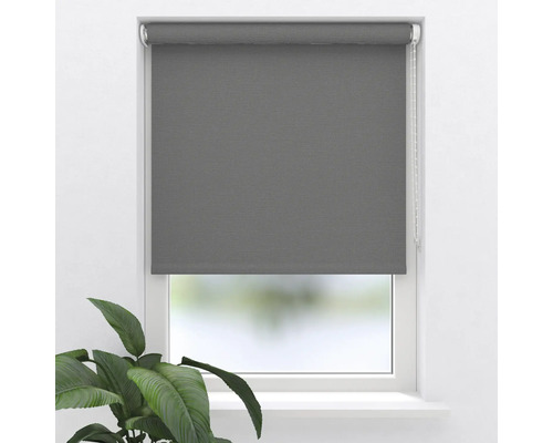Graues Rollo am Fenster mit Pflanze auf der Fensterbank