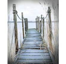 Holzsteg mit Seilen und Pfosten am Seeufer