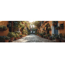 Ruelle pavée avec des plantes en pots de terre cuite le long des bâtiments