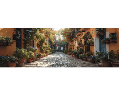 Tableau sur toile vieille ruelle 150x50 cm Ruelle pavée avec des plantes en pots de terre cuite le long des bâtiments