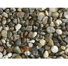 Nahaufnahme von Zierkieseln