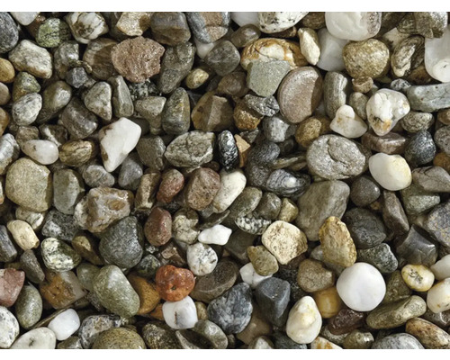 Nahaufnahme von Zierkieseln