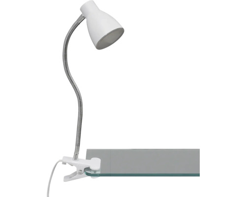 Lampe à pince avec bras flexible et clip de fixation