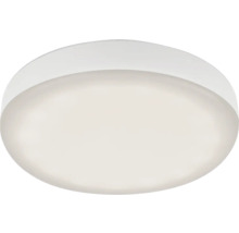 LED Einbauleuchte Plat Kunststoff 1 x 3 W 350 lm weiss Ø 68 mm