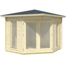 Abri de jardin en bois avec fenêtres et double porte