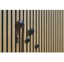 Panneau en bois avec quatre patères rondes et une laisse pour chien