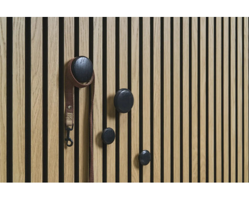 Panneau en bois avec quatre patères rondes et une laisse pour chien