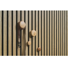 Mur en bois avec patères rondes et laisse pour chien