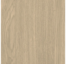 Texture du bois d''un panneau de chêne clair