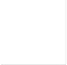 Image blanche vide.