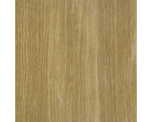 Texture de bois pour projets de construction et de rénovation