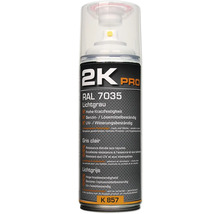 Bombe de peinture 2K Pro RAL 7035 Gris clair