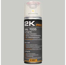 Aérosol 2K Pro gris clair RAL 7035 avec une résistance élevée aux rayures, une résistance à l''essence et aux solvants, ainsi qu''une résistance aux UV et aux intempéries