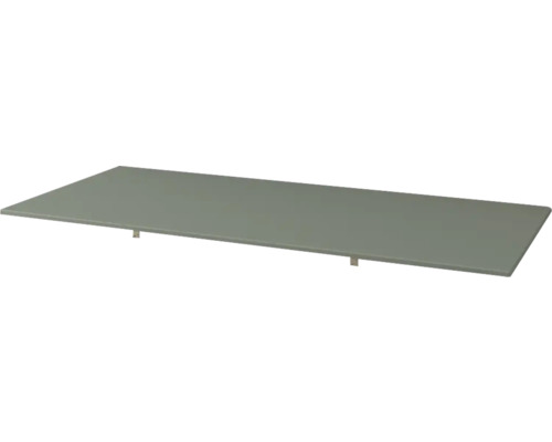 Jungborn Waschtischplatte SEIMILA 101 x 1 x 46 cm grün matt Regalboden mit Trägern