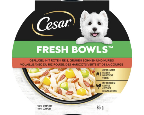 CESAR Fresh Bowls Geflügel mit rotem Reis, grünen Bohnen & Kürbis 85 g Cesar Fresh Bowls Hundenahrung mit Geflügel, rotem Reis, grünen Bohnen und Kürbis in 85 Gramm Schale