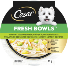Cesar Fresh Bowls Hundenahrung mit Huhn, Süsskartoffeln, grünen Bohnen und Gerste in 85 Gramm Verpackung