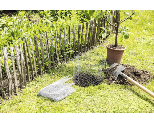 Scène de jardin avec clôture à lattes, bêche, grillage et arbre en pot
