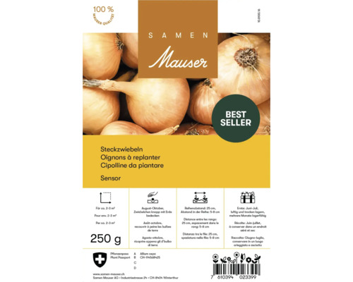 Bulbes d''oignon à planter Samen Mauser, 250 grammes