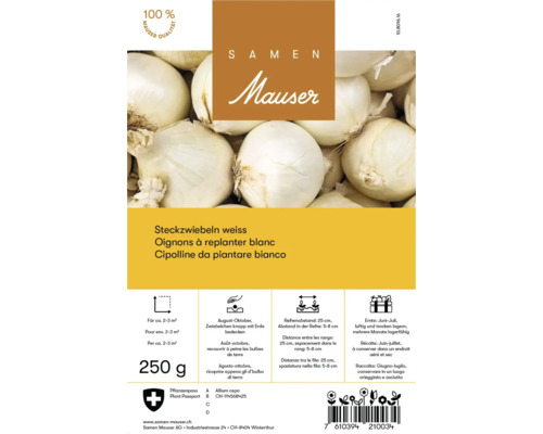 Bulbes de fleurs Mauser, oignons à repiquer blancs, 250 grammes