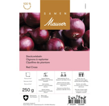 Bulbes d''oignons Red Cross, 250 grammes