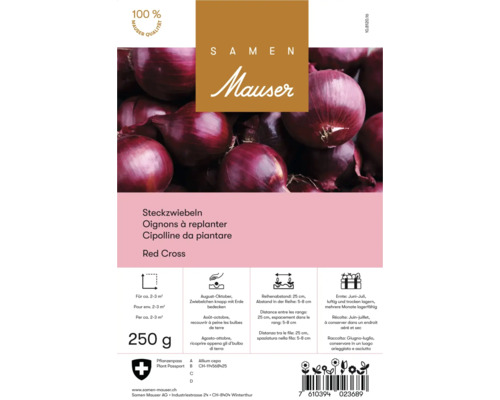 Bulbes d''oignons Red Cross, 250 grammes