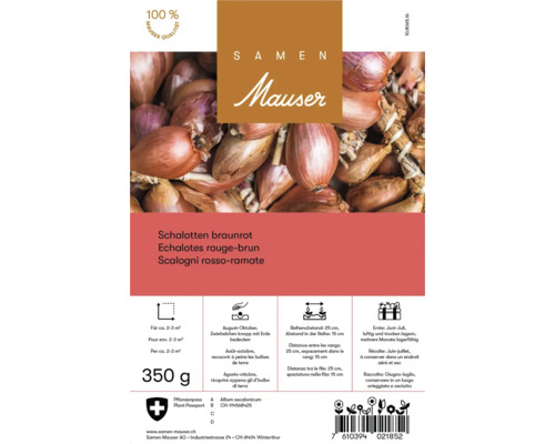 Packung Schalotten braunrot Samen Mauser