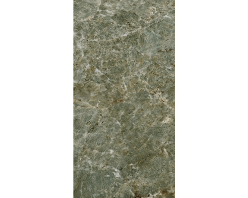 Vue détaillée d''un carreau en pierre naturelle verte avec veinures