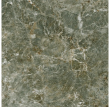 Plaque de marbre avec veinure naturelle