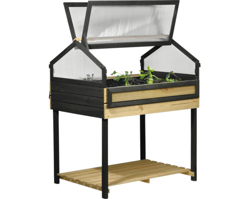 Jardinière surélevée avec couvercle transparent et espace de rangement