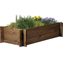 Hochbeet aus Holz mit verschiedenen Pflanzen
