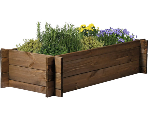 Hochbeet aus Holz mit verschiedenen Pflanzen
