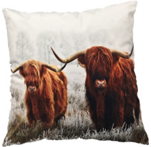 Coussin décoratif avec motif de vache Highland