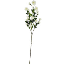 Dekorative Rose mit grünen Blättern