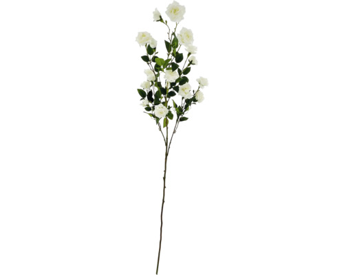 Dekorative Rose mit grünen Blättern