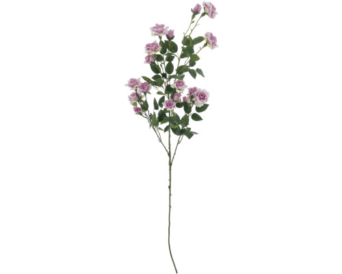 Dekorativer Rosenzweig mit Blüten und Blättern