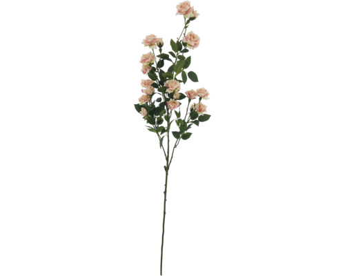 Dekorativer Rosenzweig mit Blüten und Blättern