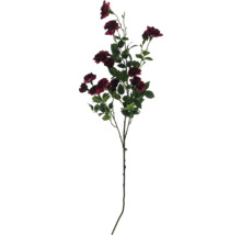 Dekorativer Rosenzweig mit Blüten und Blättern.