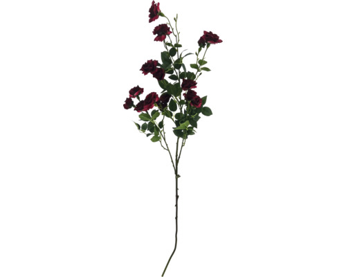 Dekorativer Rosenzweig mit Blüten und Blättern.