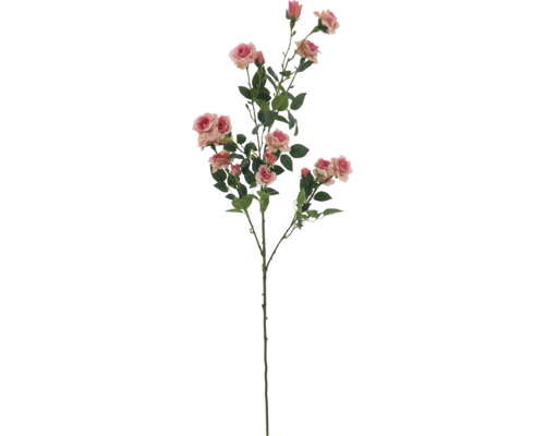 Dekorativer Rosenzweig mit Blüten und Blättern