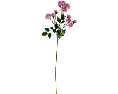 Dekorativer Rosenzweig mit Blüten und Blättern