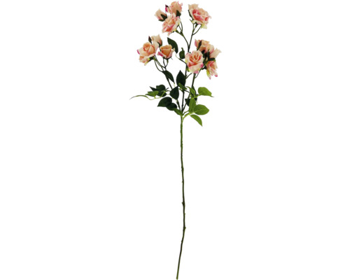 Dekorativer Rosenzweig mit Blättern und Blüten
