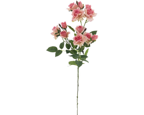 Dekorativer Rosenzweig mit Blättern und Blüten