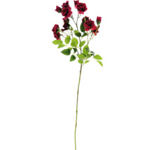 Dekorativer Rosenzweig mit Blättern und Blüten