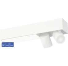 Plafonnier avec deux spots, compatible Smart Home