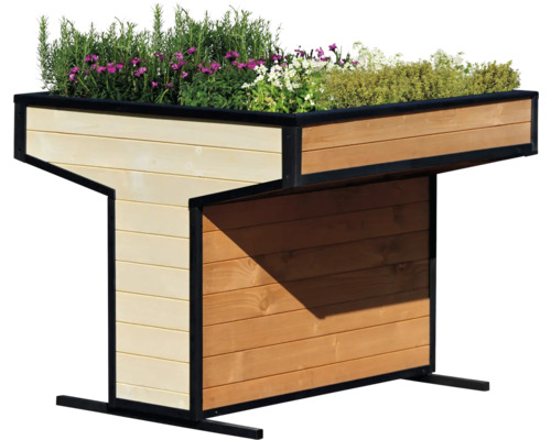 Serre-châssis 112 x 112 x 94 cm bois Jardinière surélevée en bois avec plantes