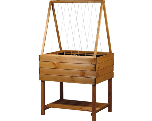 Jardinière surélevée en bois avec support pour plantes grimpantes et étagère