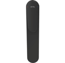 Levier de robinet de cuisine Avital