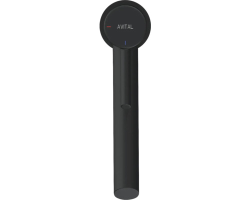 Robinet de cuisine Avital