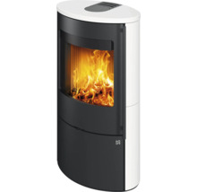 Kaminofen mit Holzfeuer