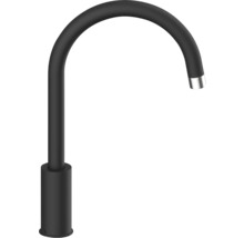 Schwarzer Wasserhahn mit gebogenem Auslauf